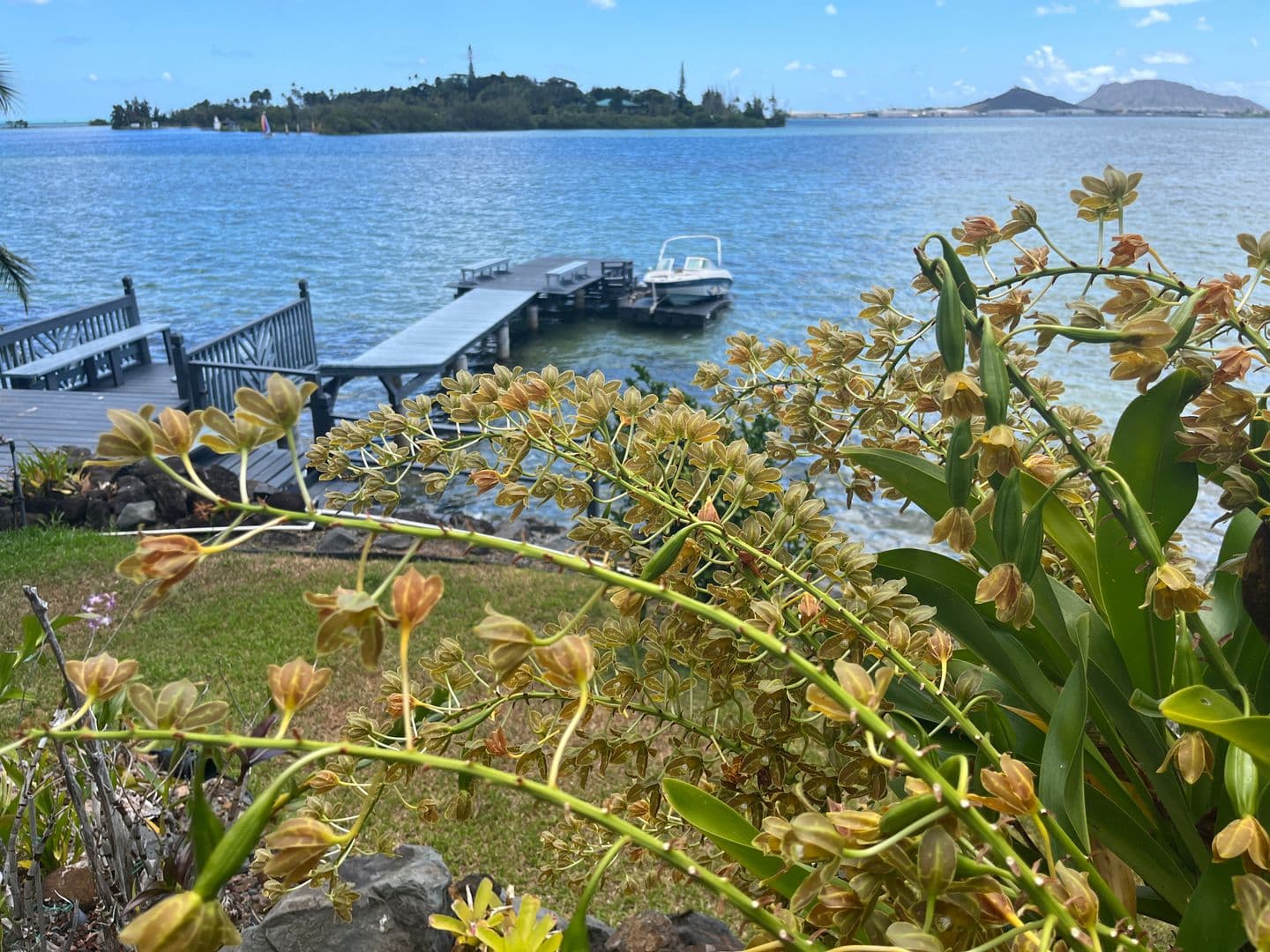 Kaneohe House: 45-002 Lilipuna Rd