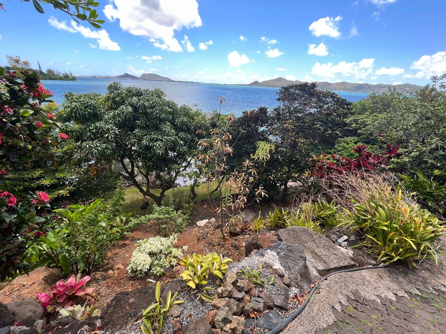 Kaneohe House: 45-002 Lilipuna Rd