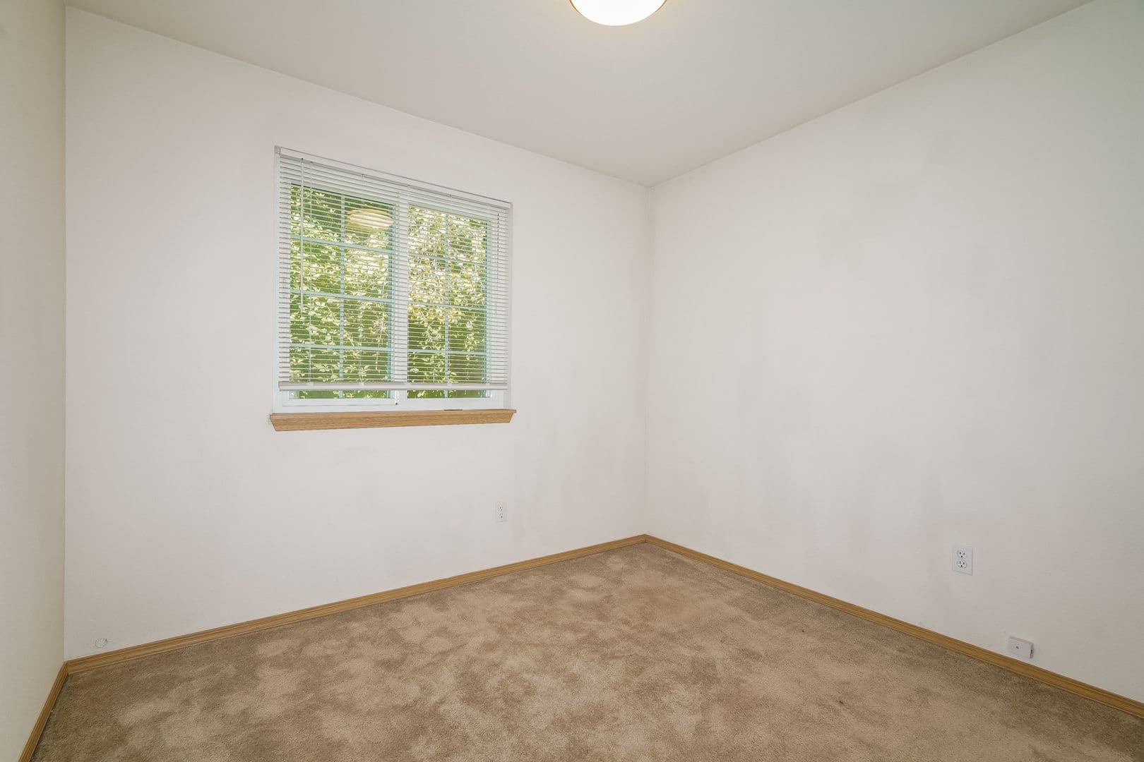 Seattle House: 3738 S Perry Street