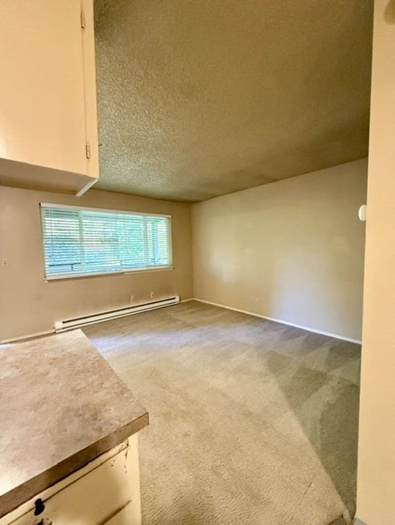 Olympia Apartment: 811 13th Ave SE
