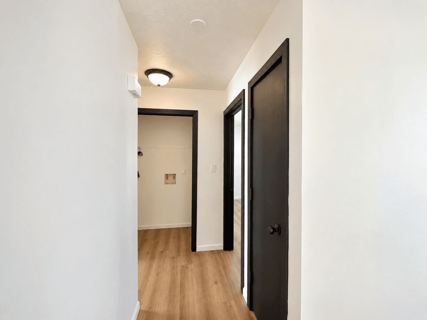 Forest Apartment: 99 Moss Creek Drive