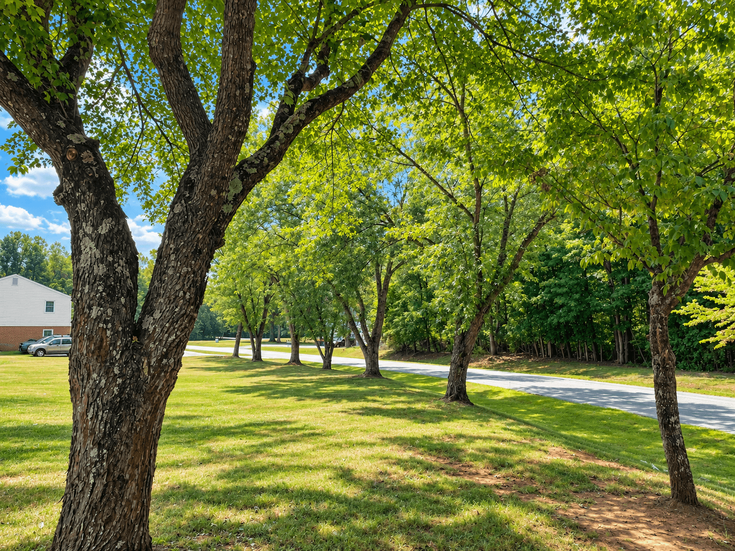 Forest Apartment: 101 Moss Creek Drive