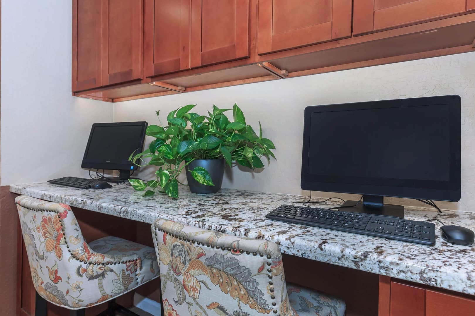 Phoenix Apartment: 12231 N. 19th Street