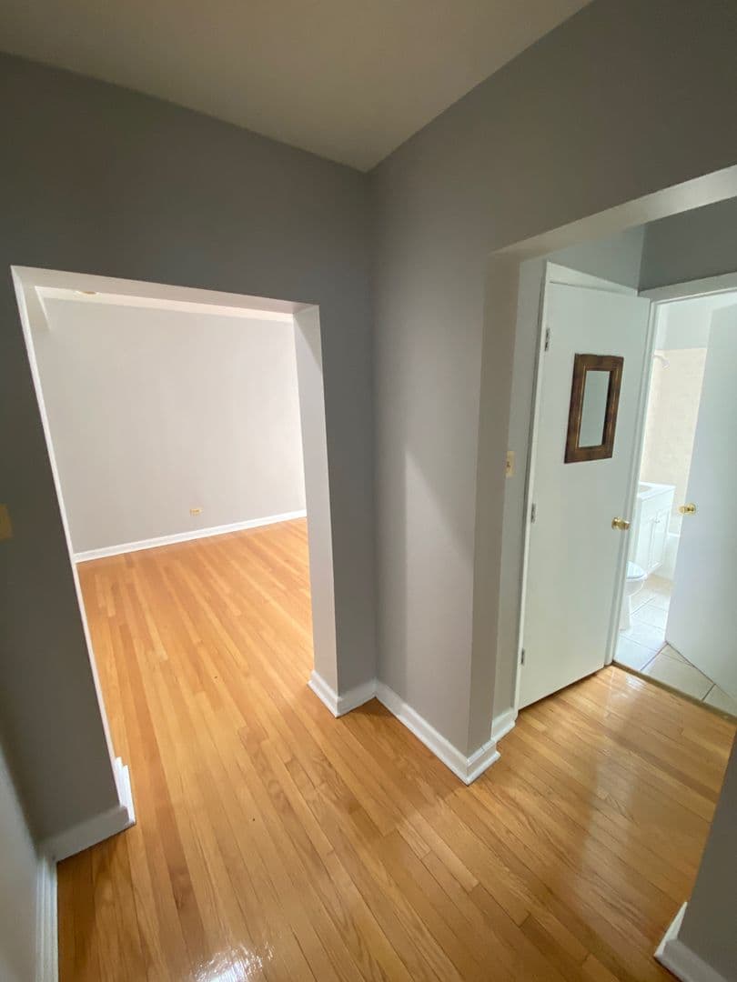 Chicago Apartment: 1721-25 E 79th St