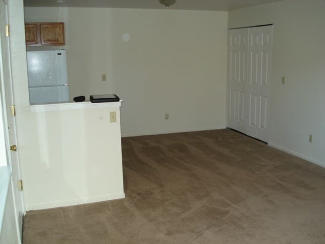 Reno Apartment: Reno
