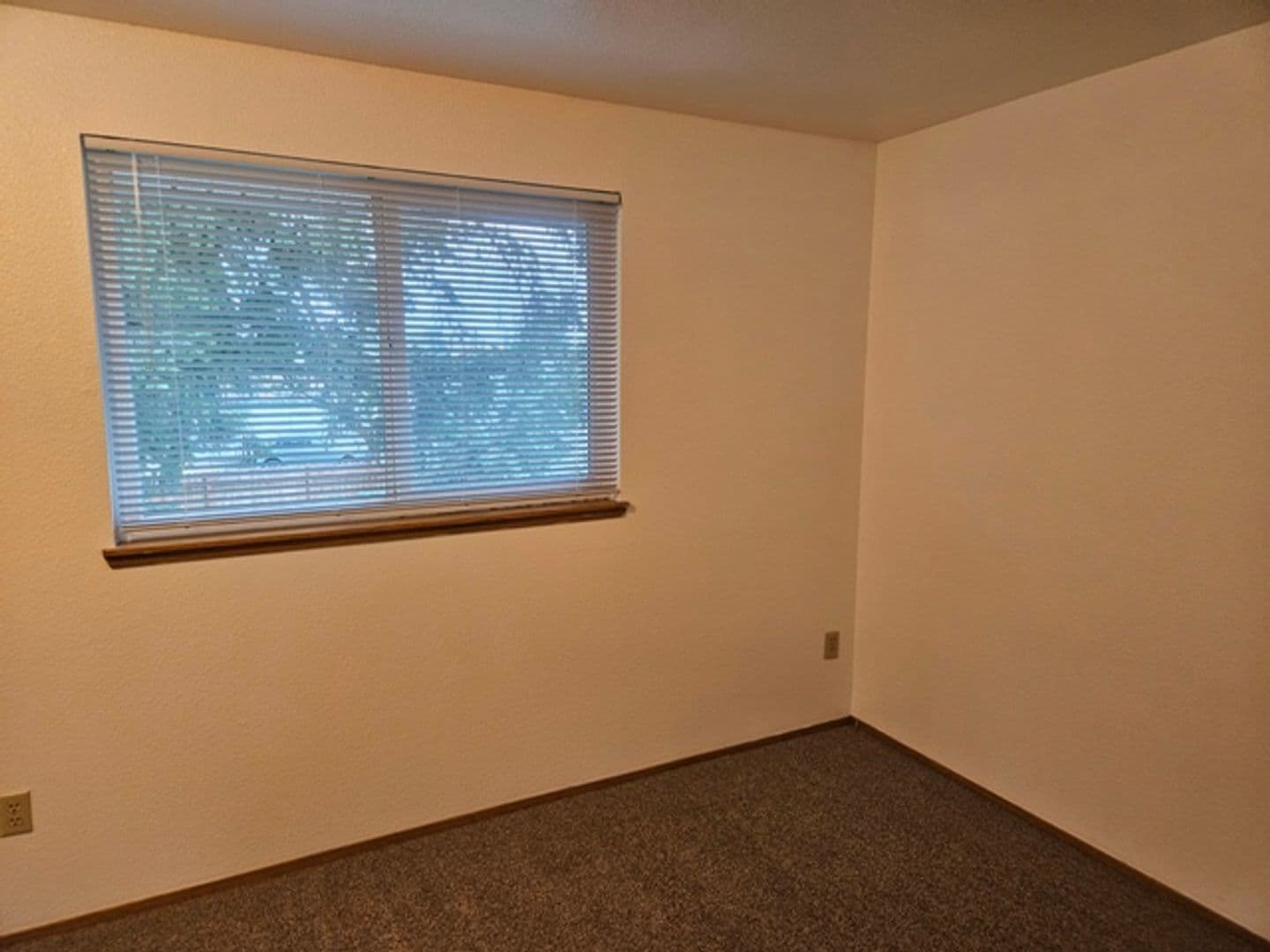 Salem Apartment: 1415 Lancaster Dr NE