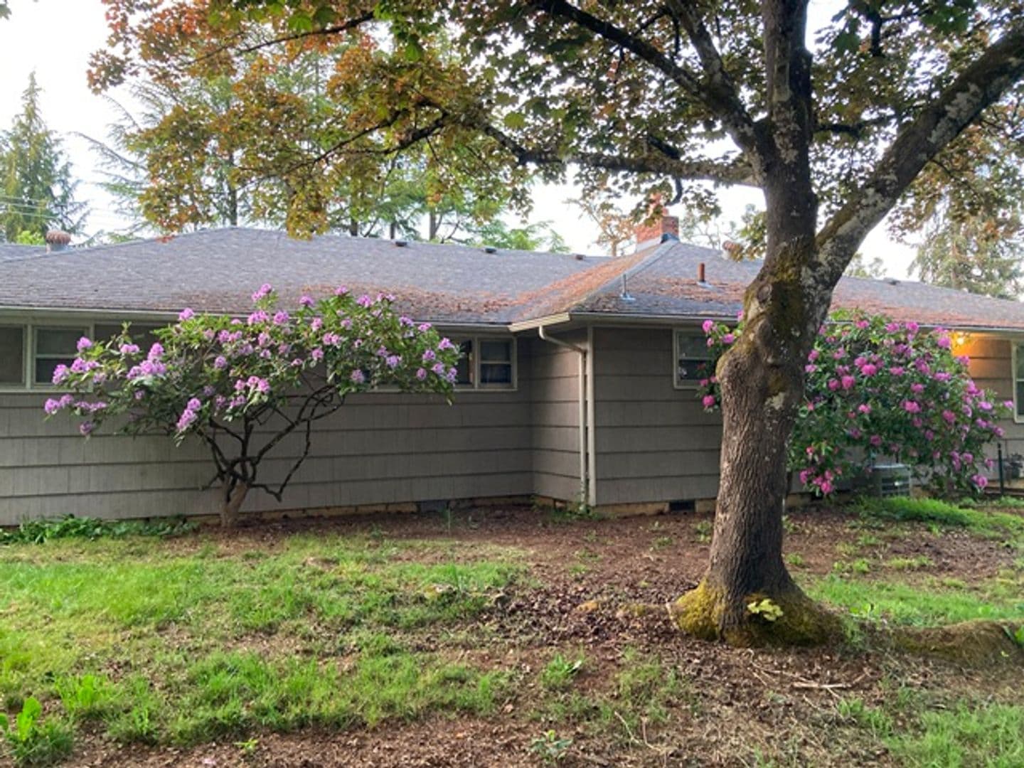 Salem House: 720 Orchard Heights Rd NW