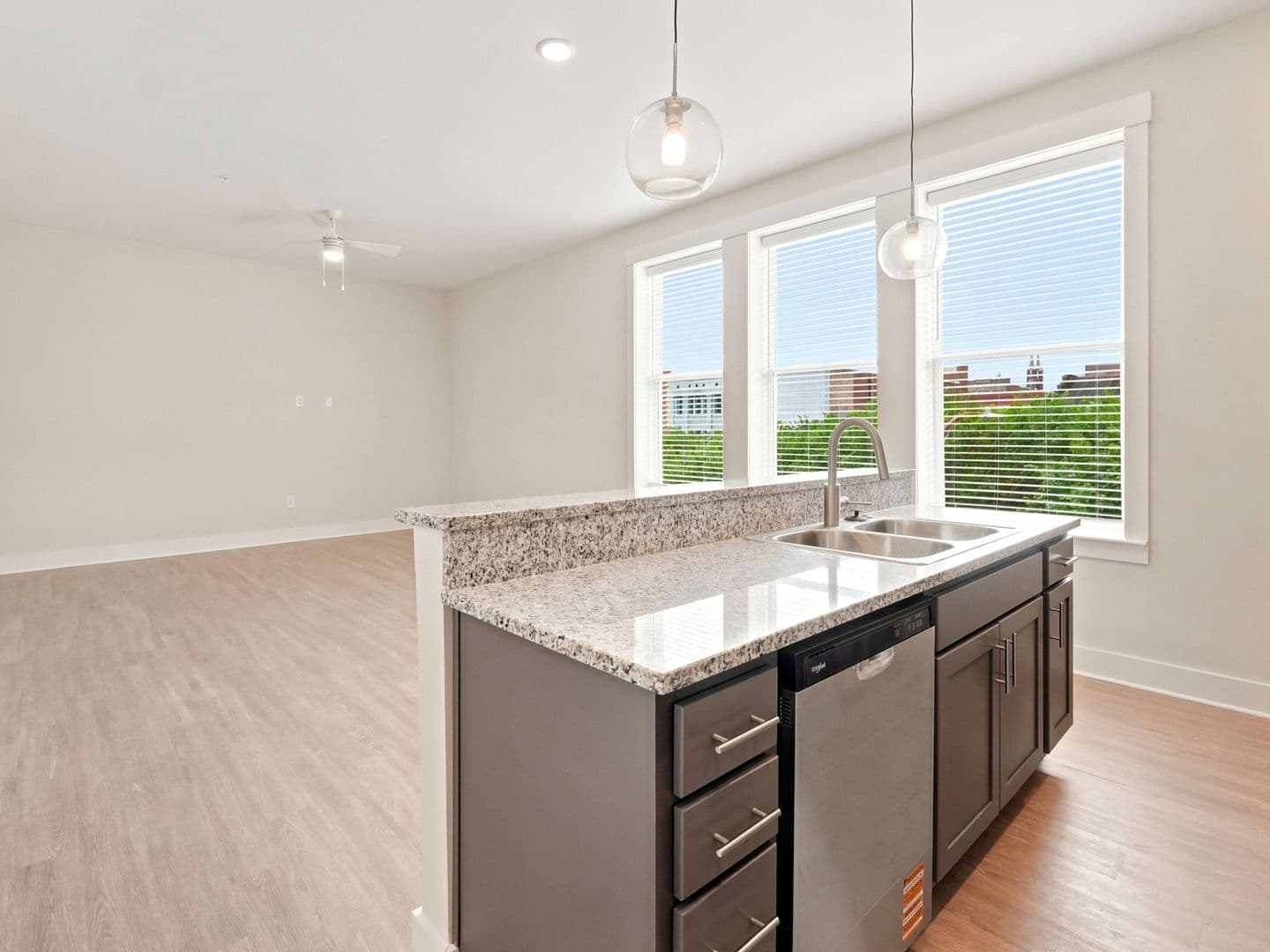 Macon Apartment: 462 Cherry Street