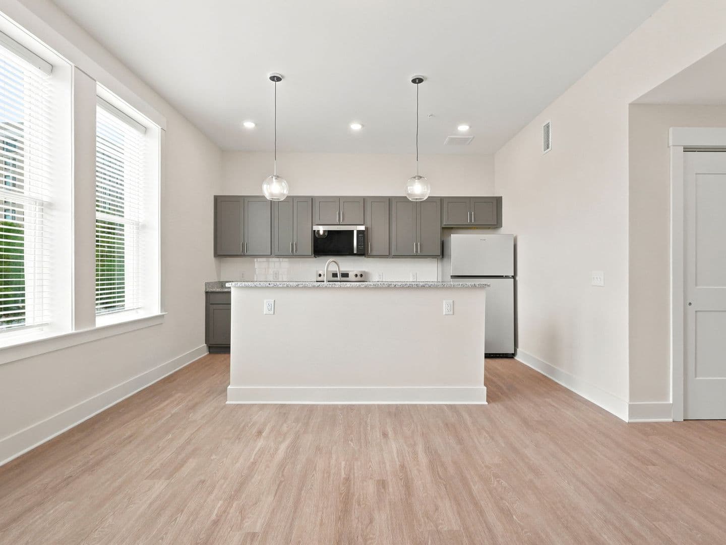 Macon Apartment: 462 Cherry Street