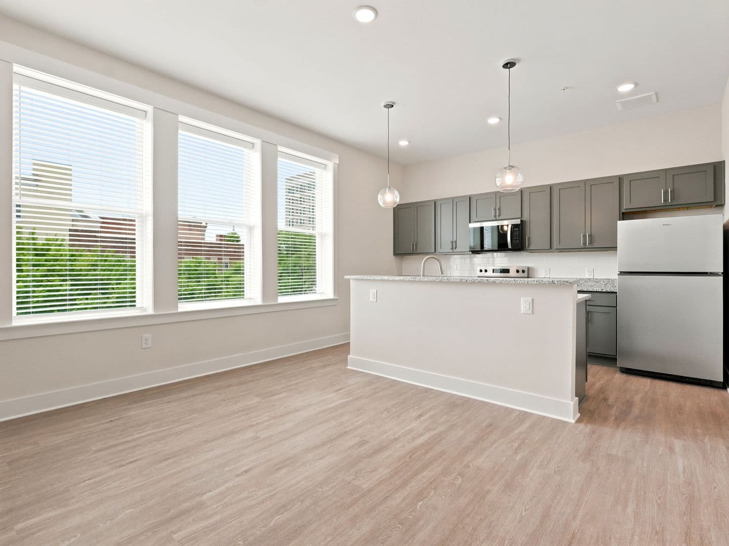 Macon Apartment: 462 Cherry Street