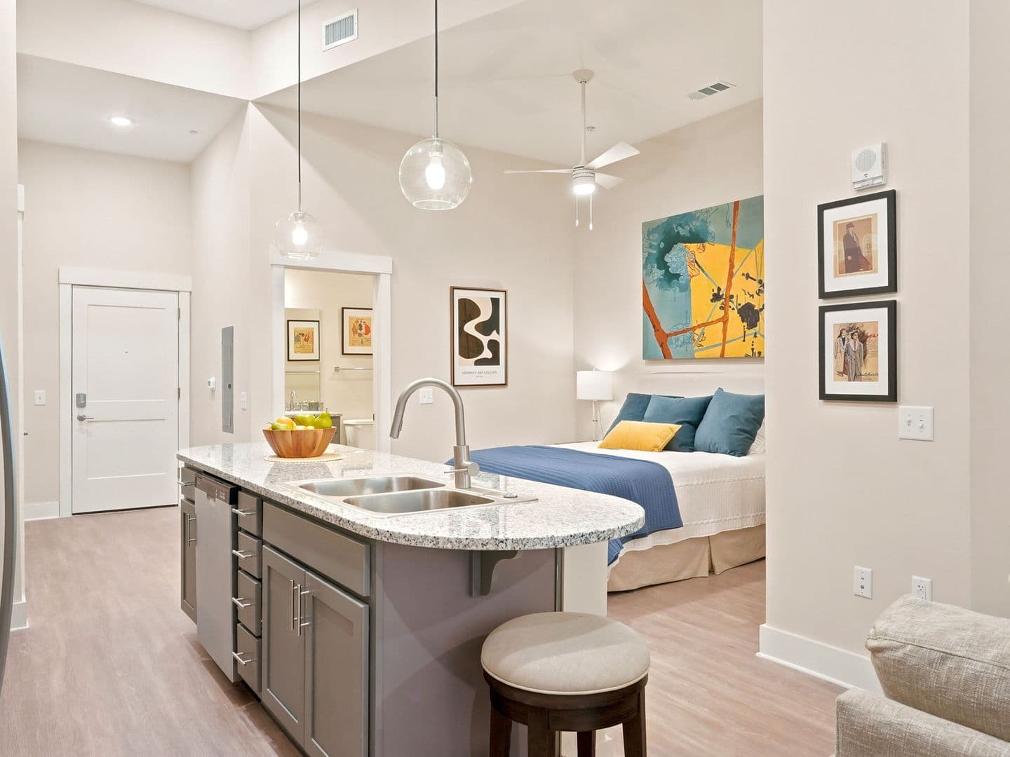 Macon Apartment: 462 Cherry Street