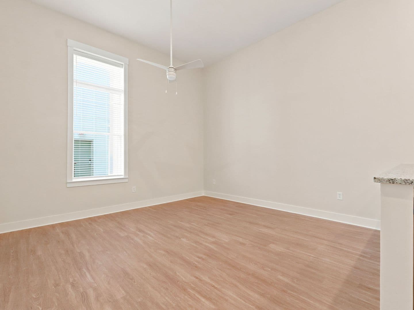 Macon Apartment: 462 Cherry Street