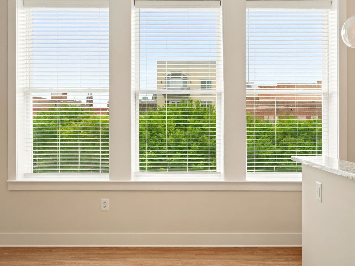 Macon Apartment: 462 Cherry Street