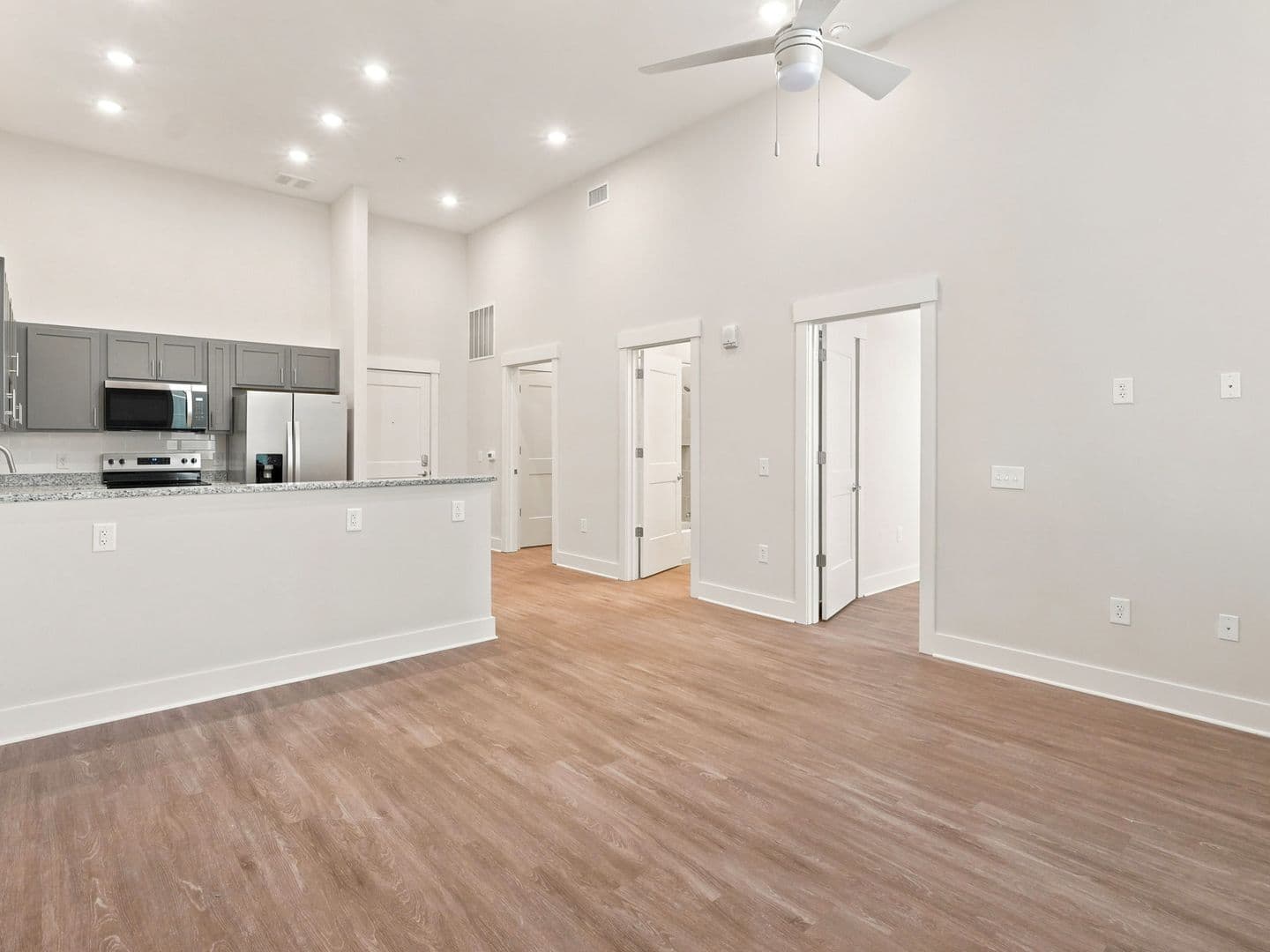 Macon Apartment: 462 Cherry Street