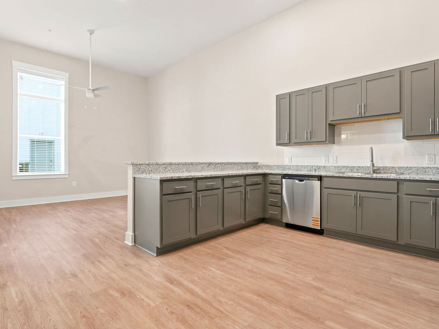 Macon Apartment: 462 Cherry Street
