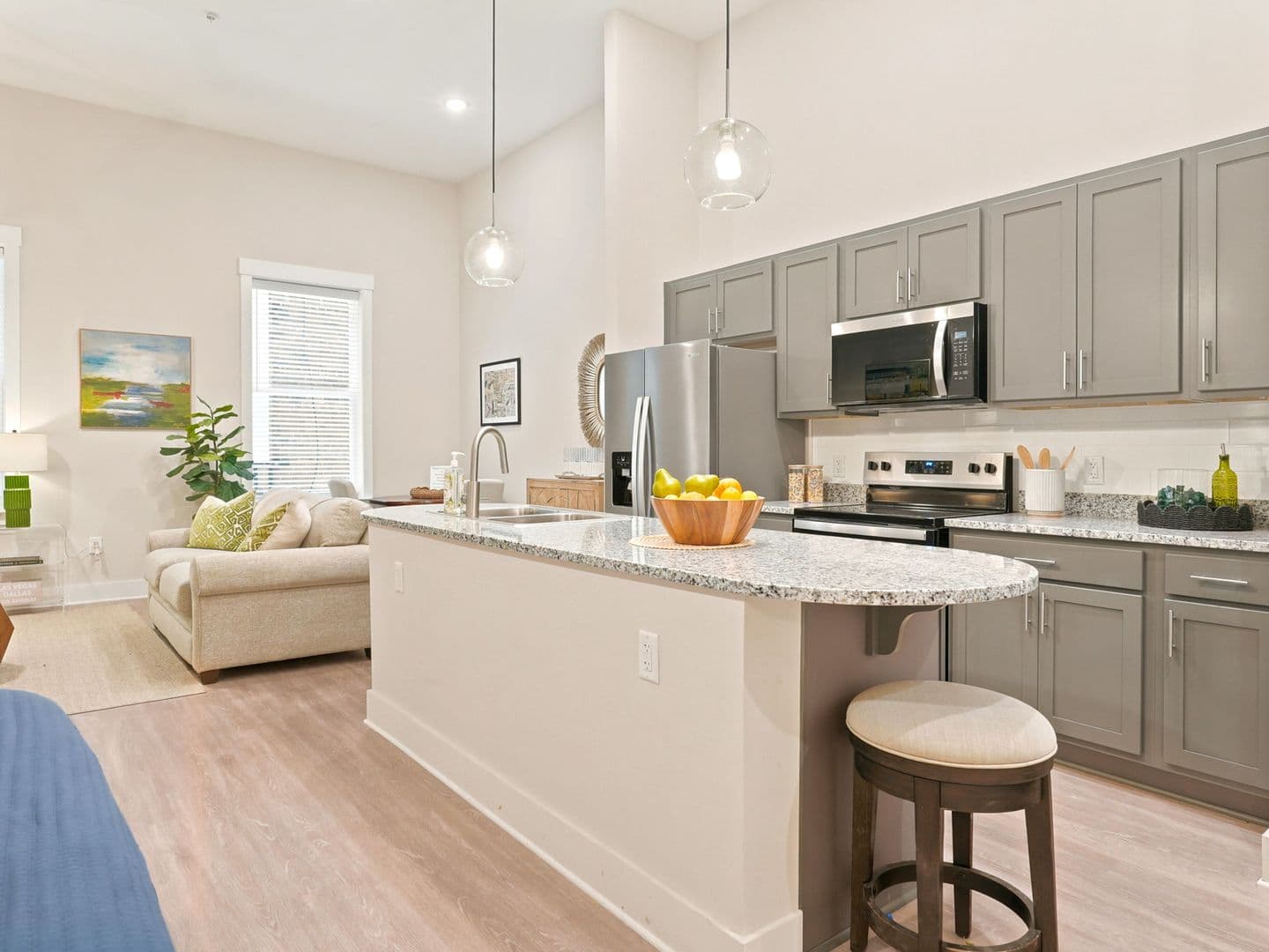 Macon Apartment: 462 Cherry Street