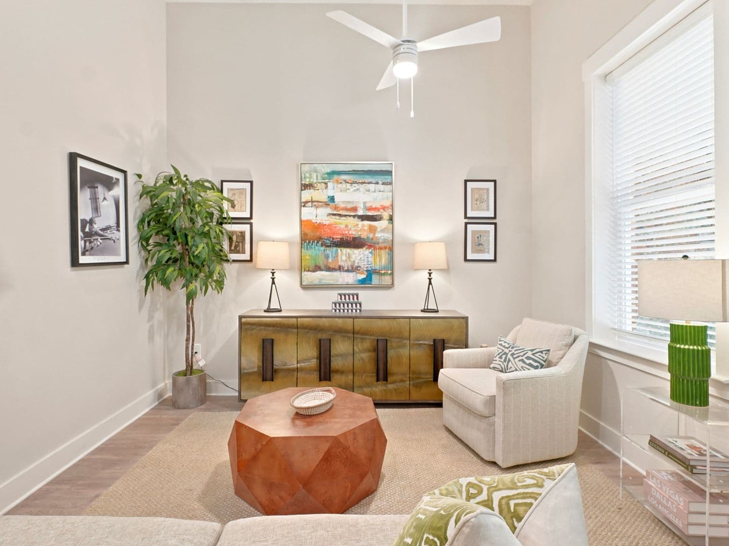 Macon Apartment: 462 Cherry Street