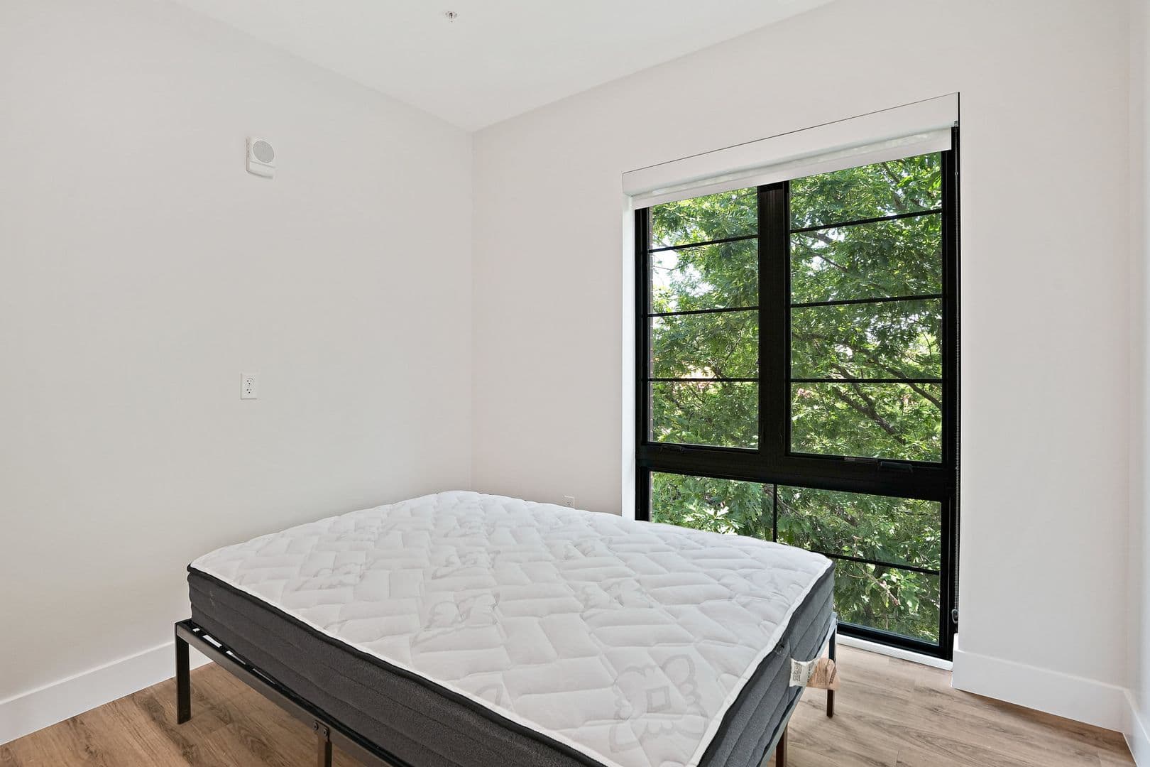 Washington Apartment: 225 Vine St NW