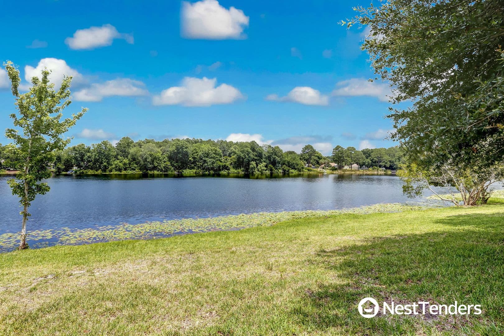Fernandina Beach House: 23615 Bahama Point