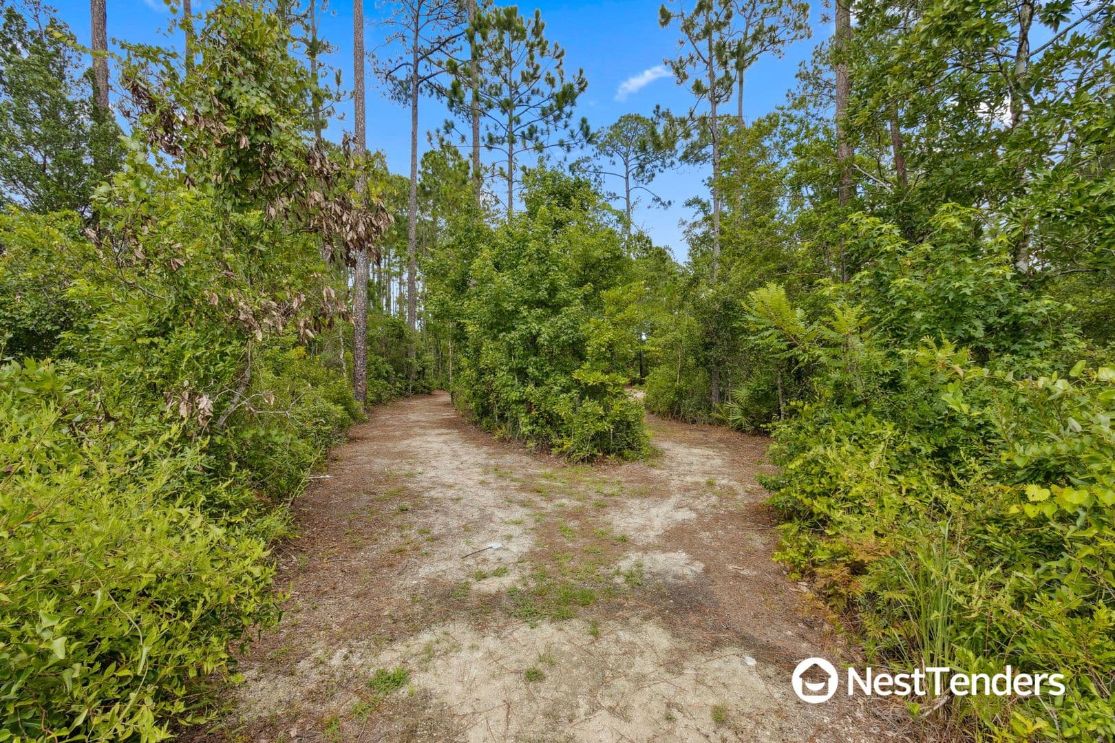 Yulee House: 65206 Lagoon Forest Dr.
