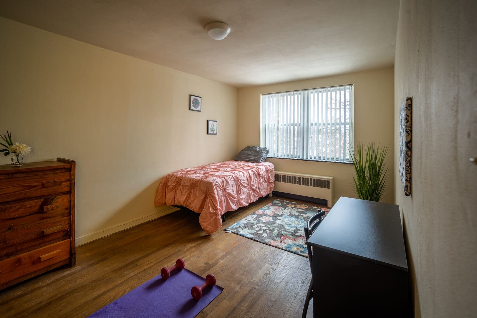 State College Apartment: 225-235 S. Buckout St.