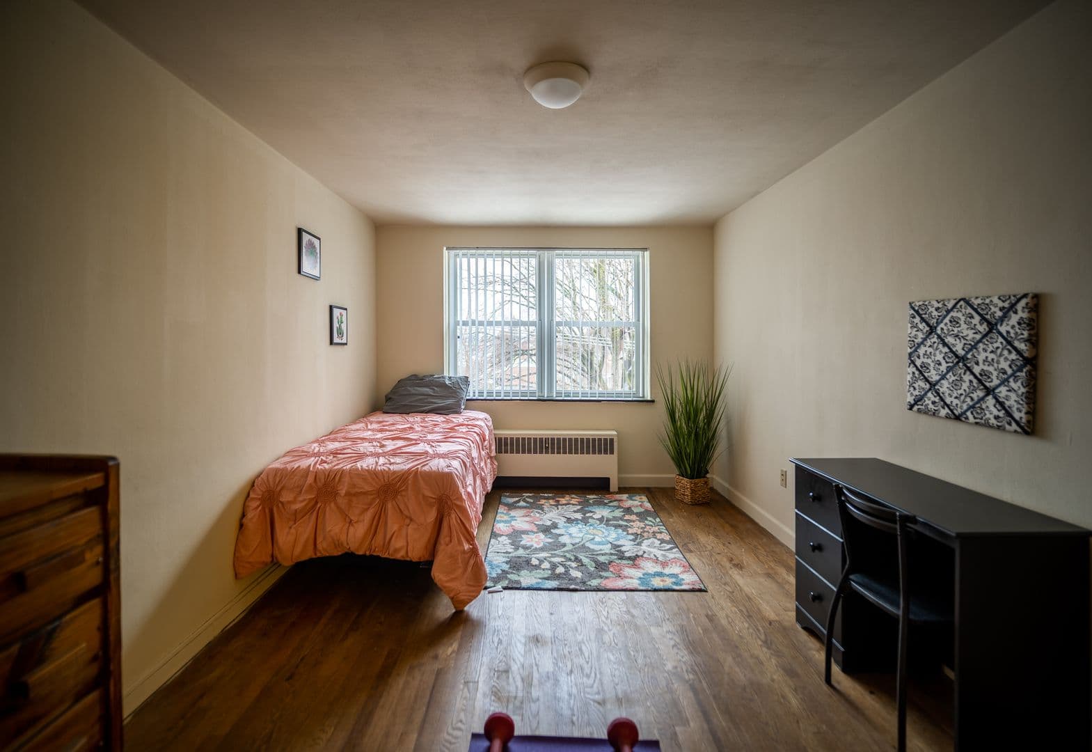 State College Apartment: 225-235 S. Buckout St.