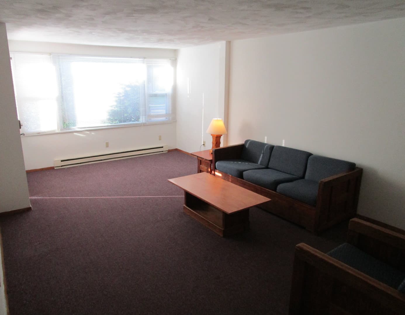 State College Apartment: 219-221-223-225 Waupelani Dr.