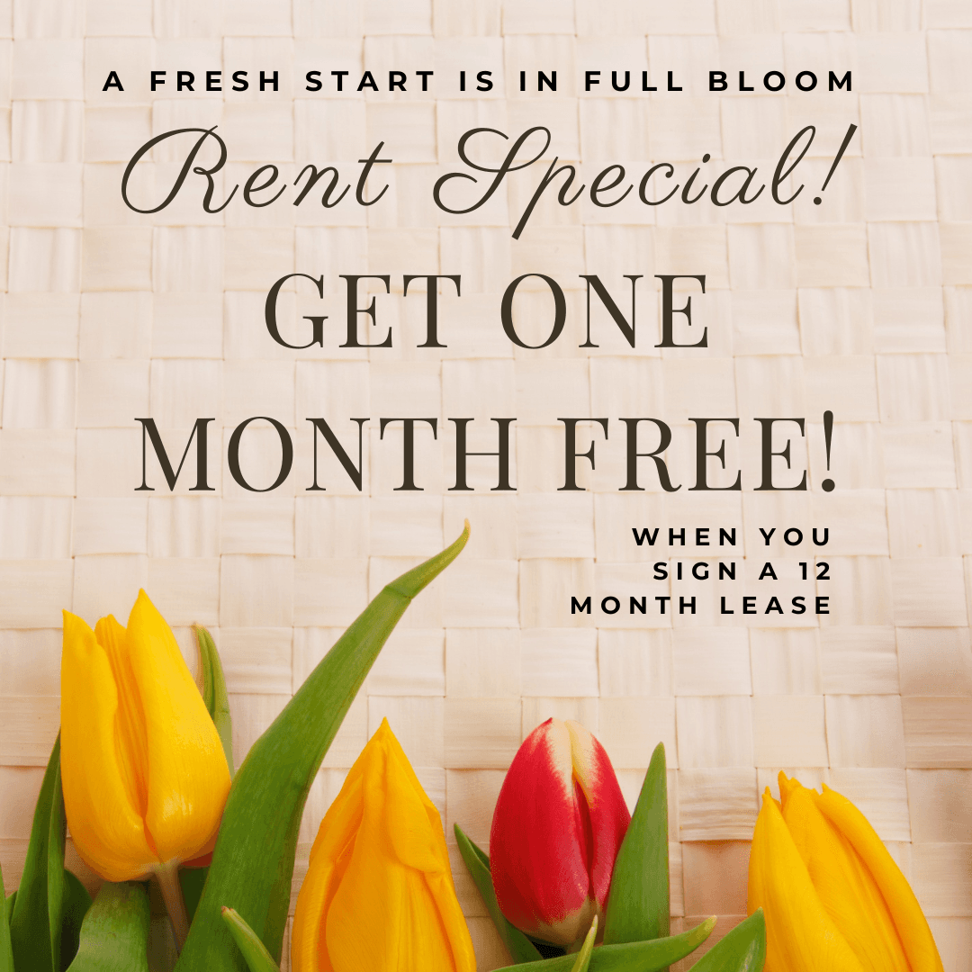 Des Moines Apartment: 3323 Ingersoll Ave