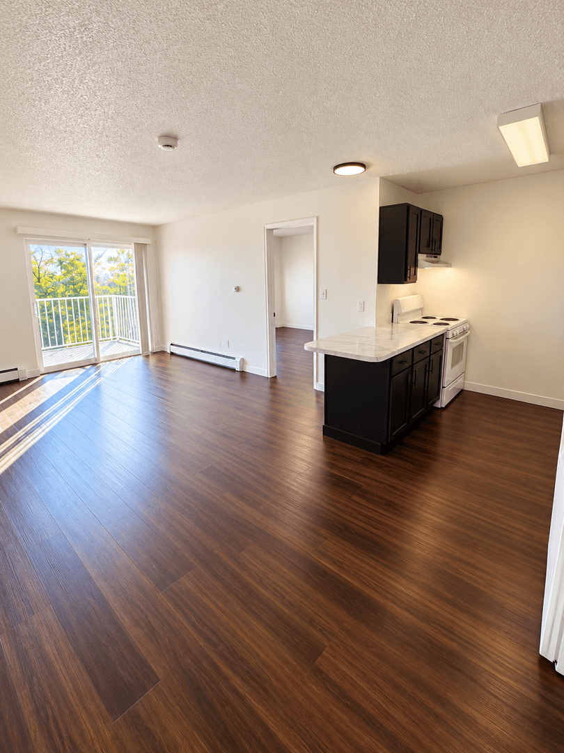 Des Moines Apartment: 211 E McKinley Ave