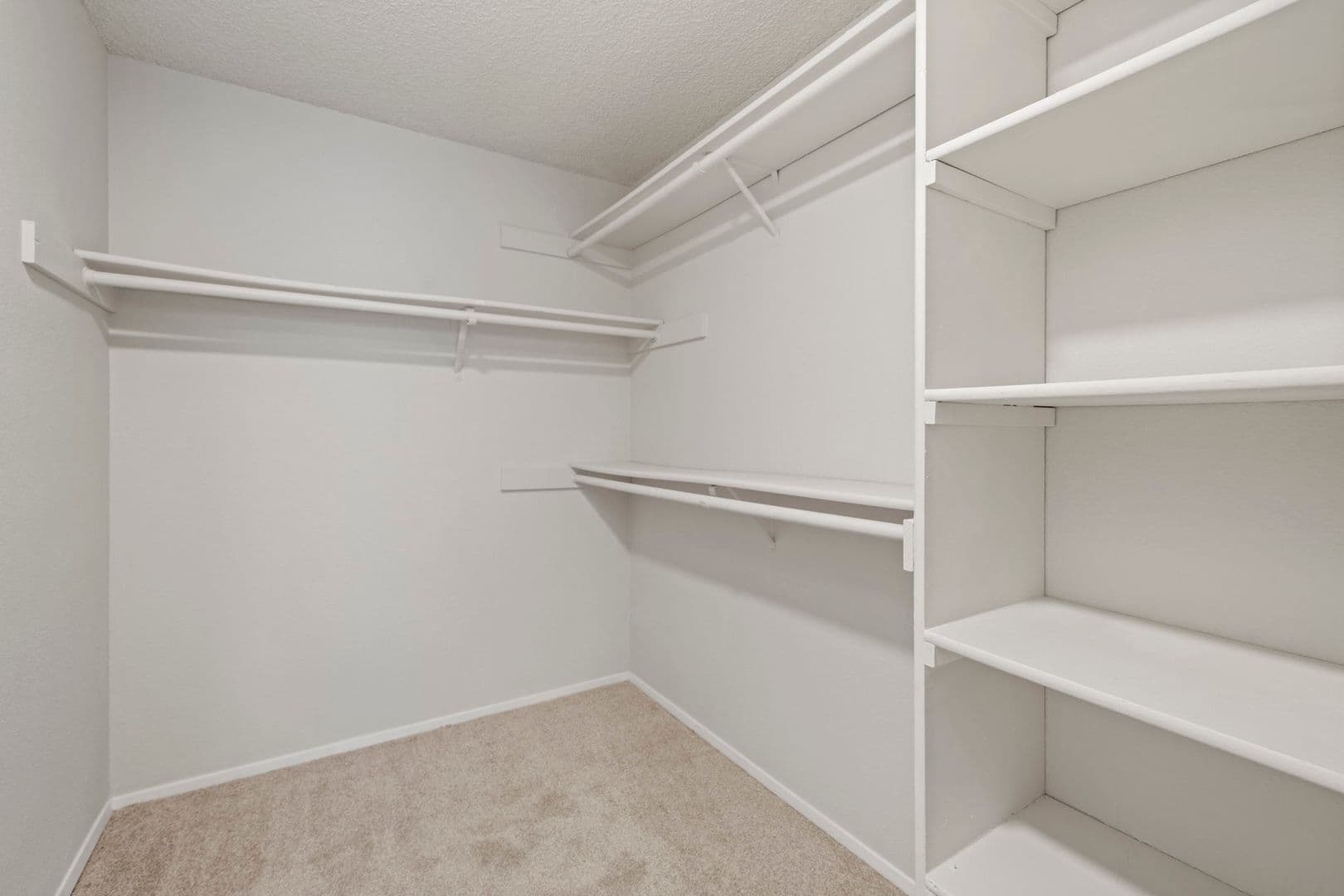 Lakewood Apartment: 4828 123rd St SW