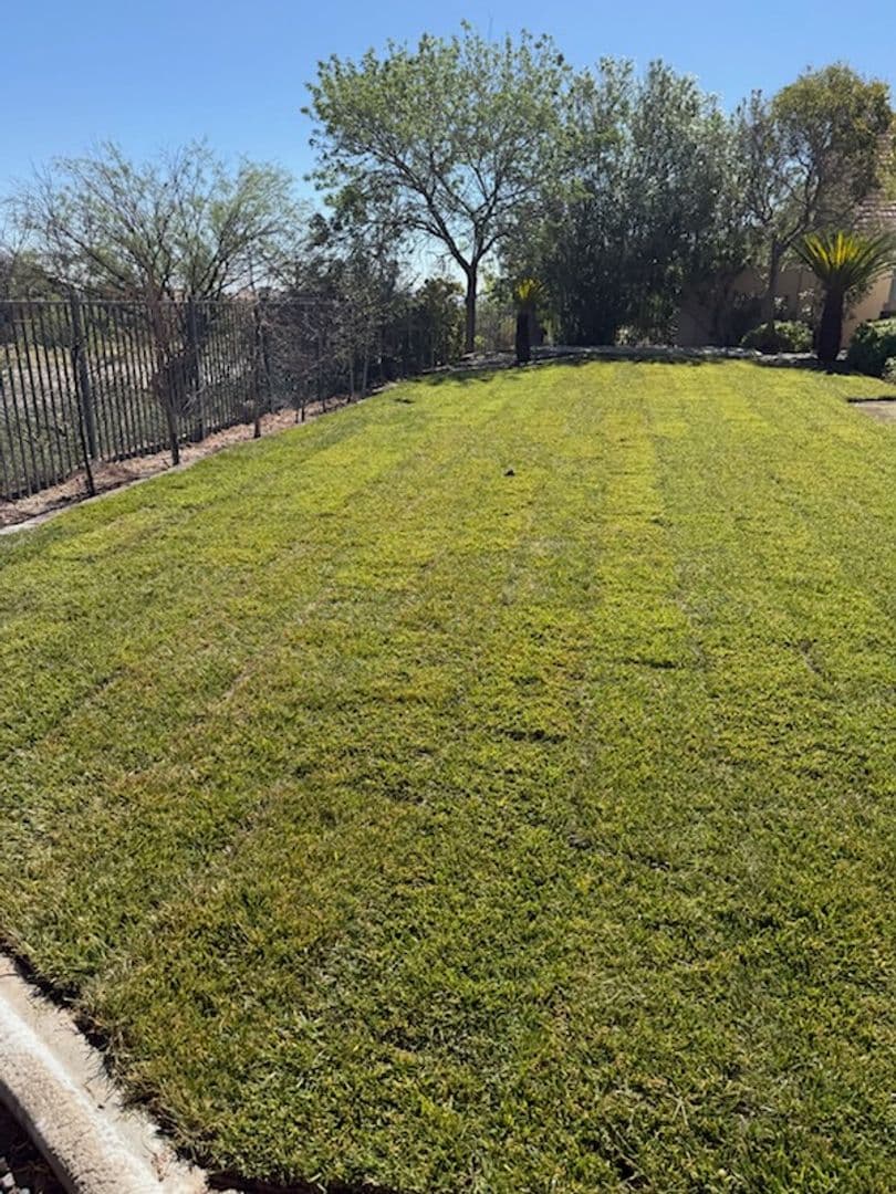 LAS VEGAS House: 9800 CAMDEN HILLS AVENUE