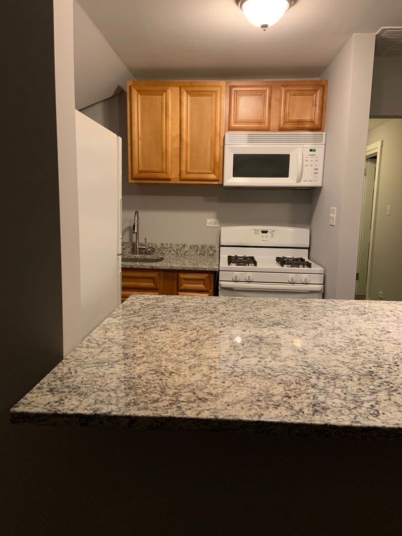 Chicago Apartment: 7147 S Princeton Avenue
