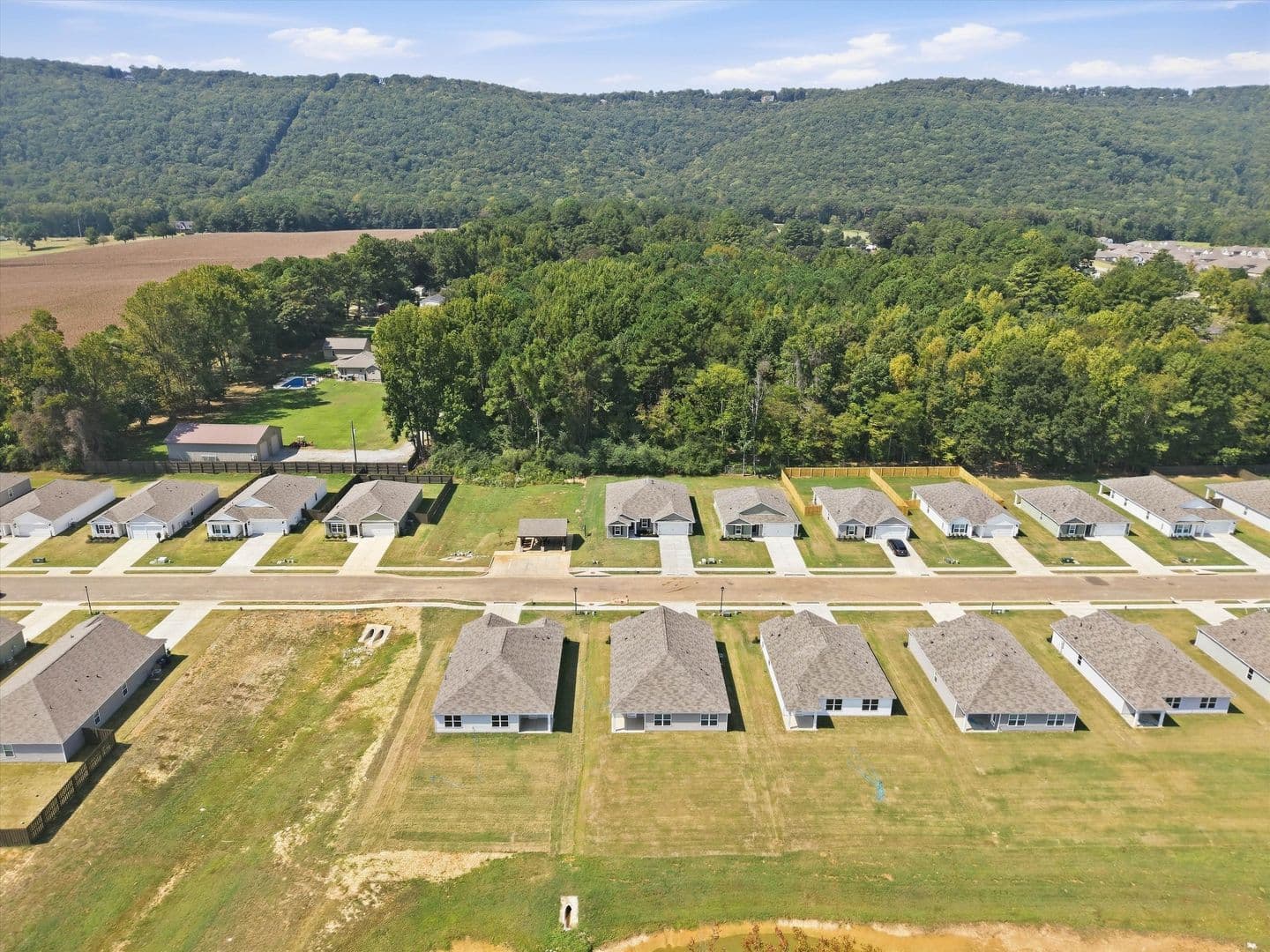 Owens Cross Roads House: 9931 Sequoyah Cove Drive SE