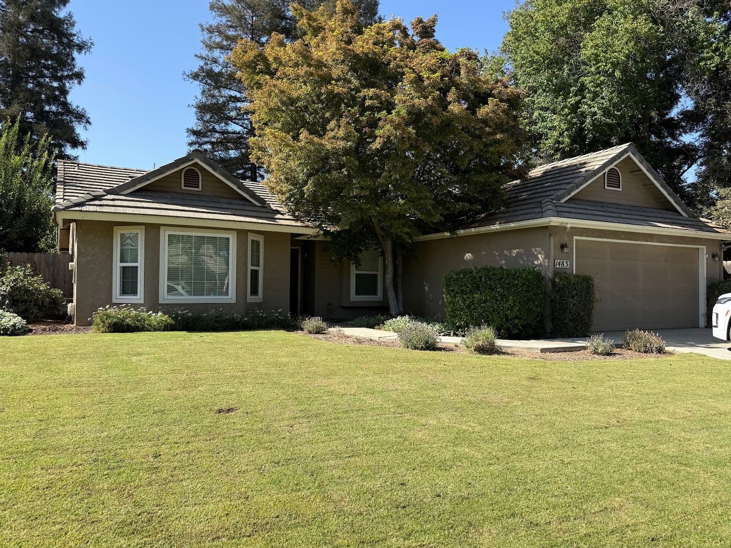 Reedley House: 1483 Concord Ave