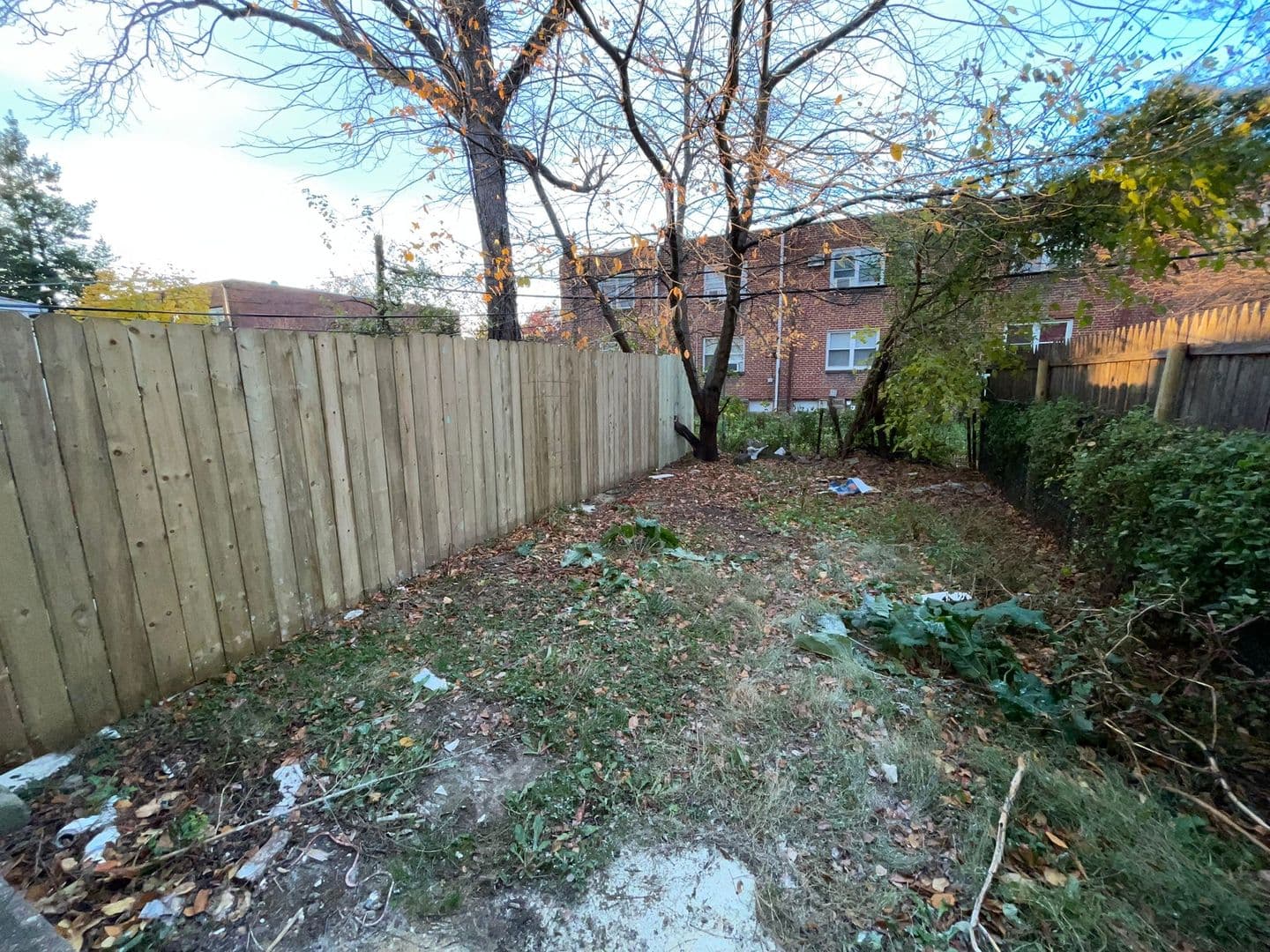 Philadelphia Multiplex: 6430 1/2 Tulip Street