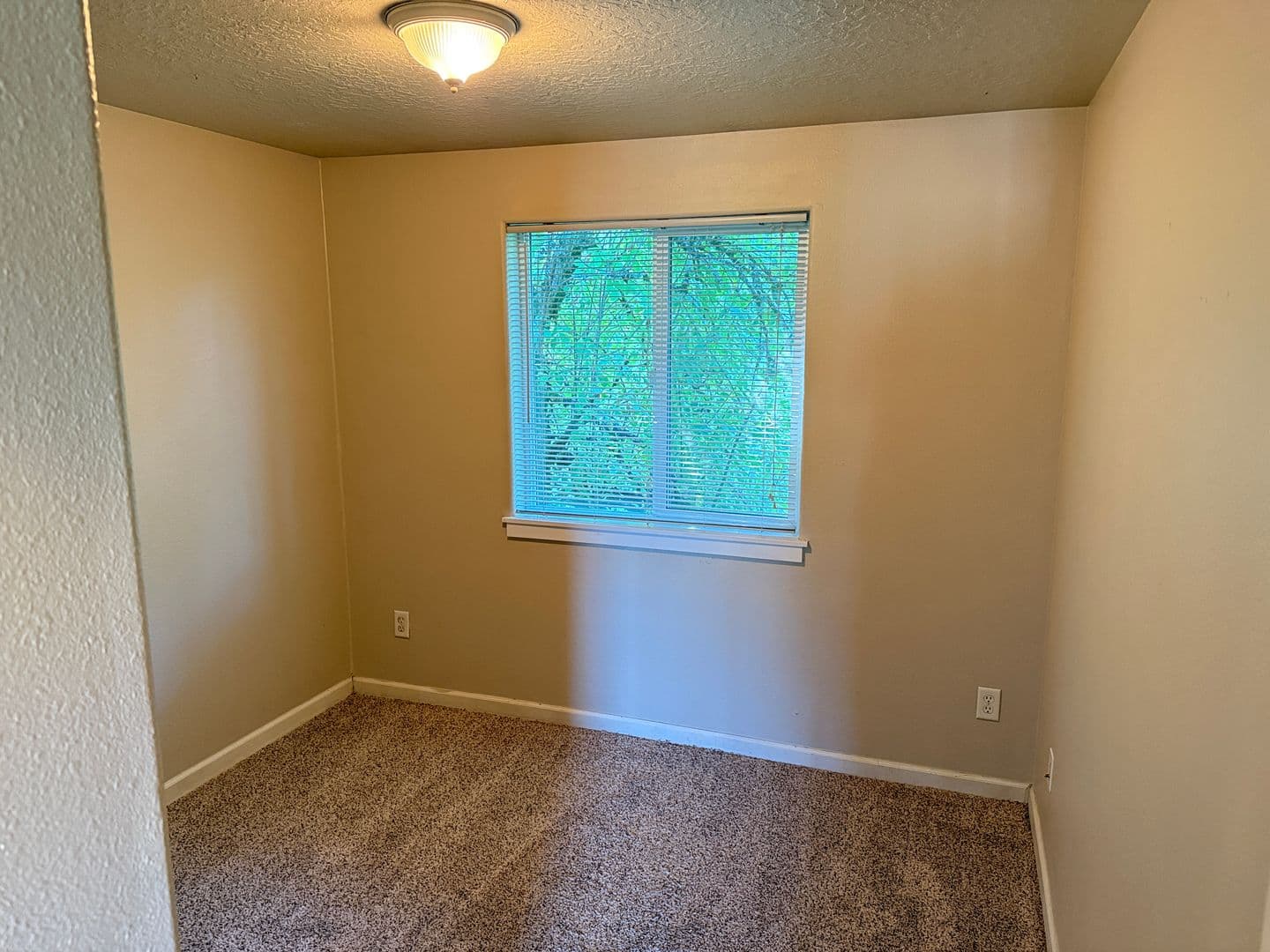 Springfield House: 5941 Aster St
