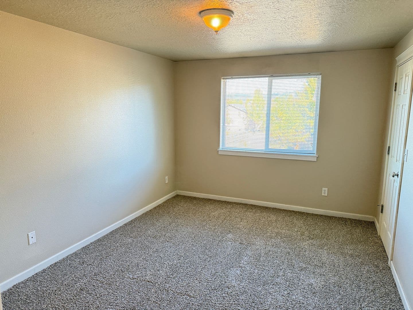 Springfield House: 5941 Aster St