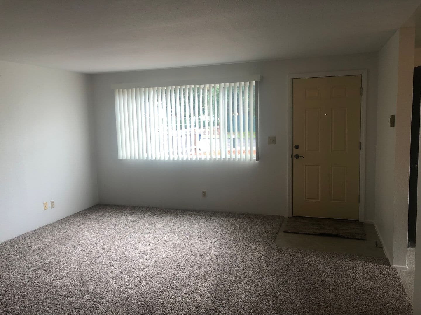 Springfield House: 4548 Daisy St.