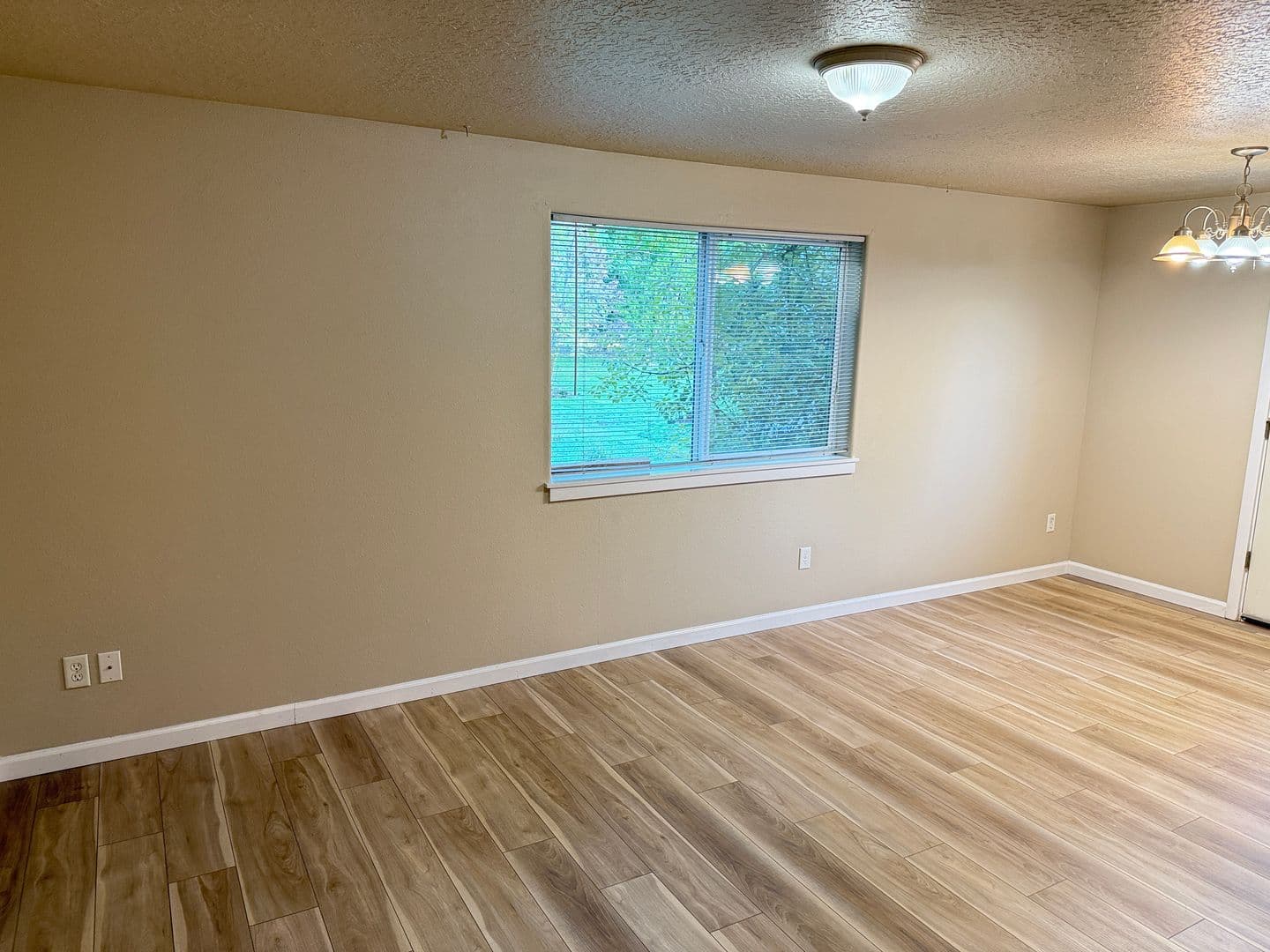 Springfield House: 5941 Aster St