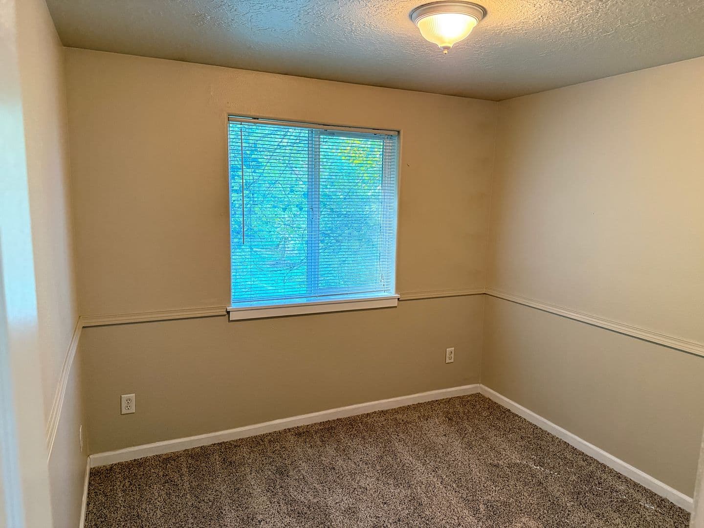 Springfield House: 5941 Aster St