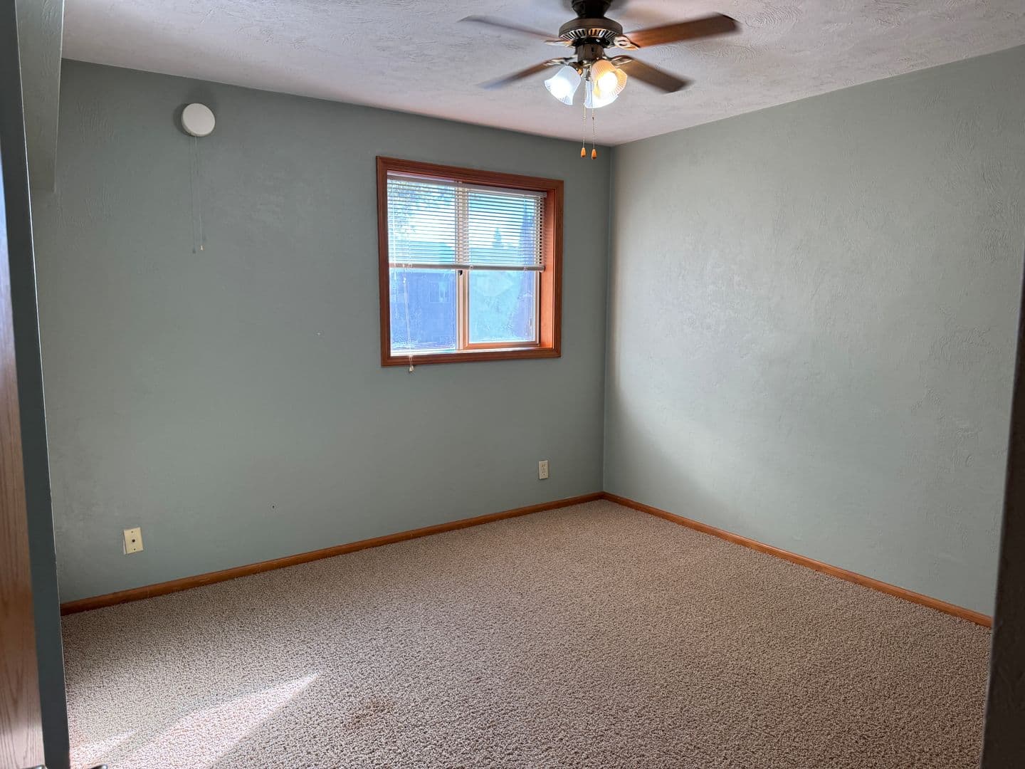 Eugene Apartment: 1609 Adkins St.