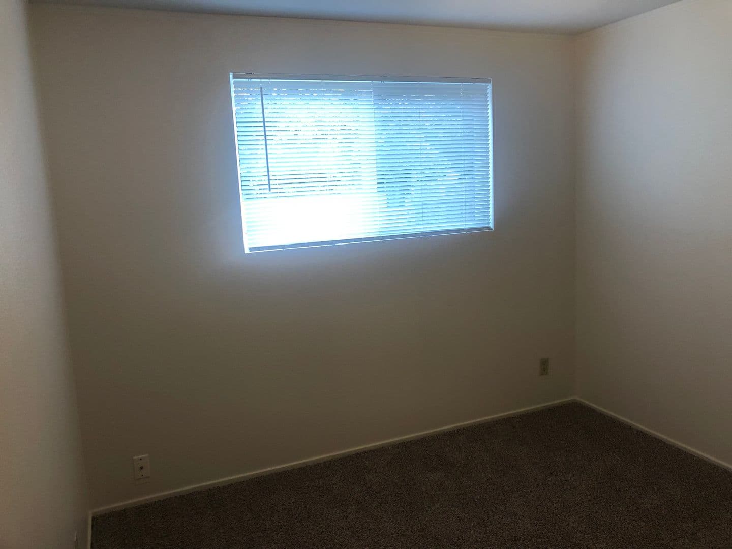 Springfield House: 4548 Daisy St.