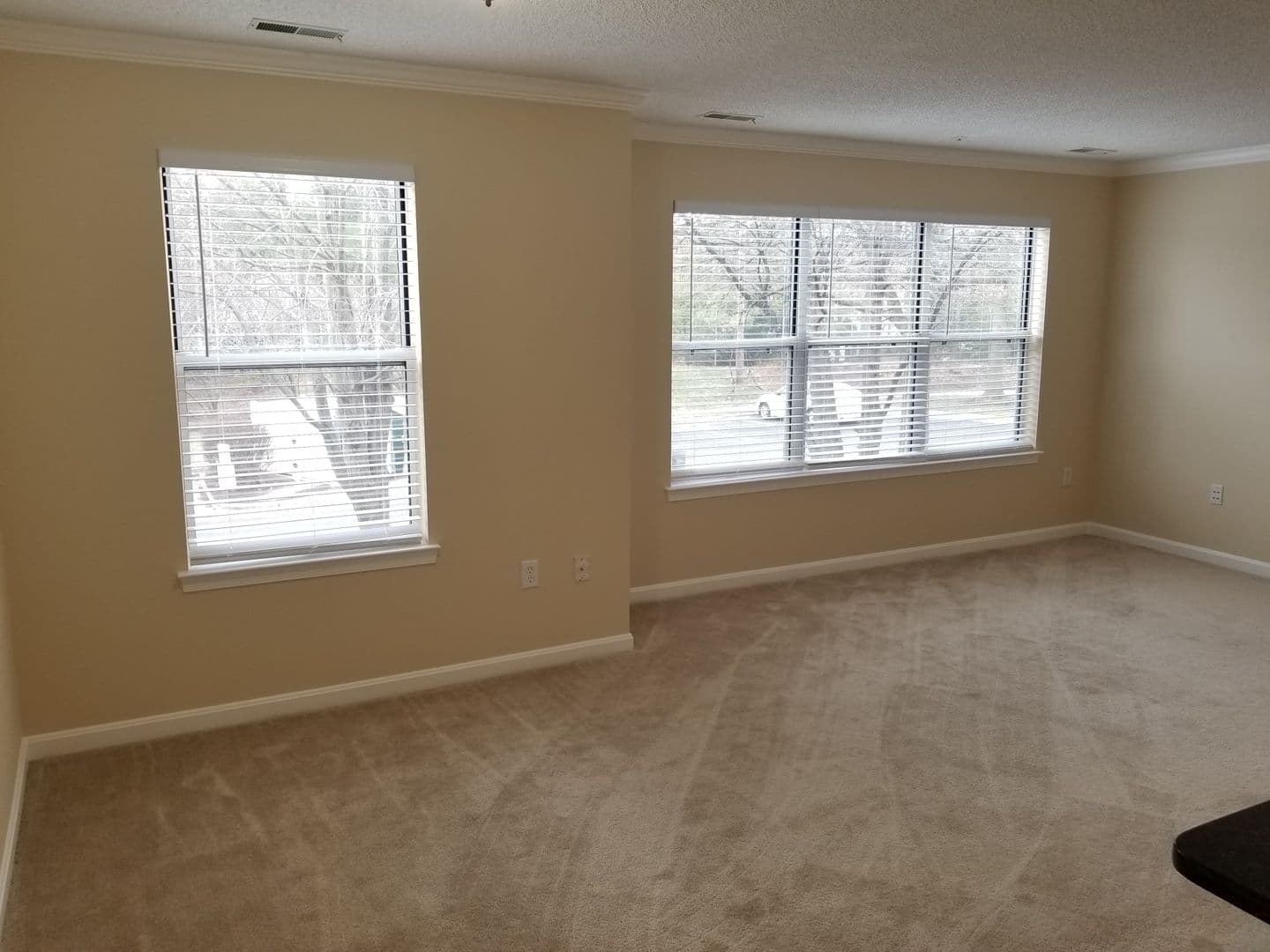 Silver Spring House: 2603 Camelback Lane