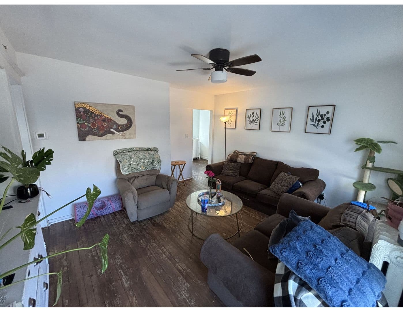 La Crosse Apartment: 817-825 King St