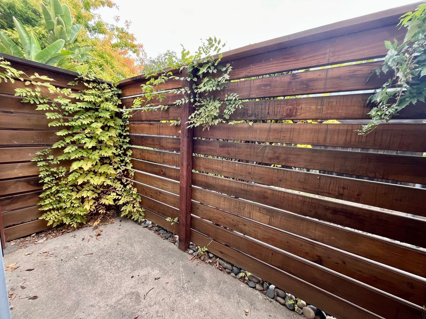Sacramento Apartment: 3624-50 H Street