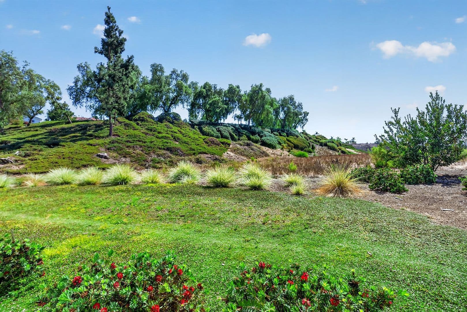 Laguna Niguel Condo: 3 Caribbean Ct