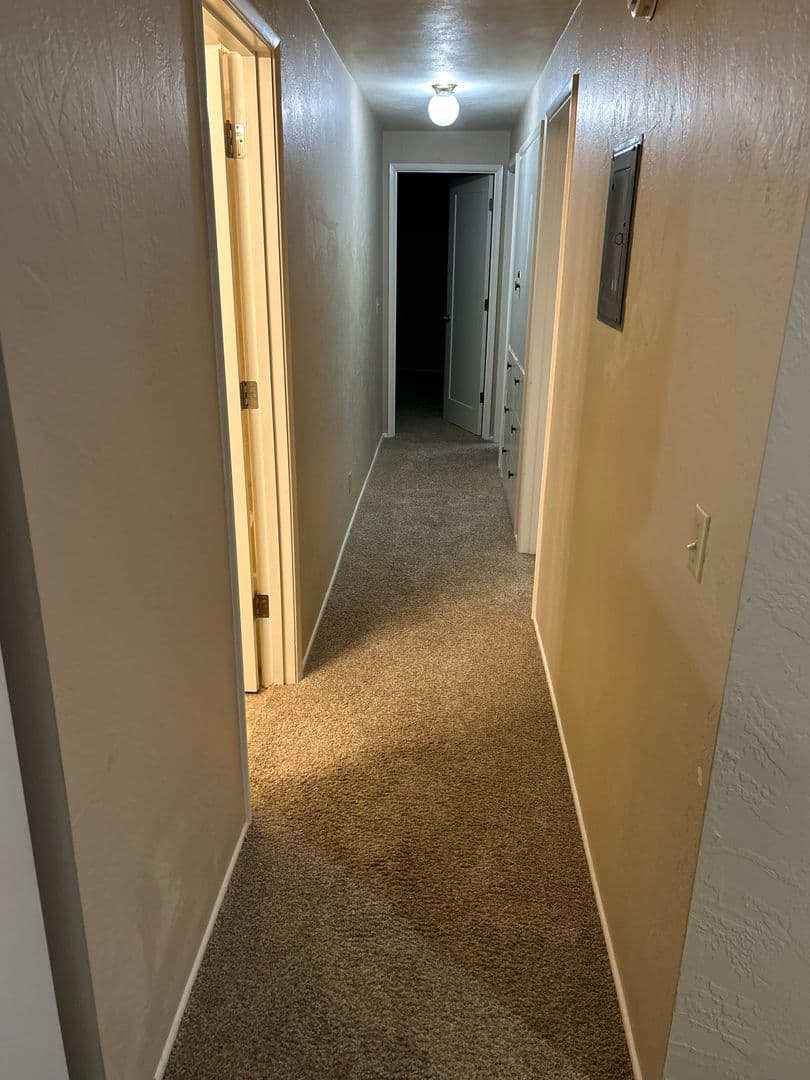 Eugene Apartment: 1945 Kincaid St.