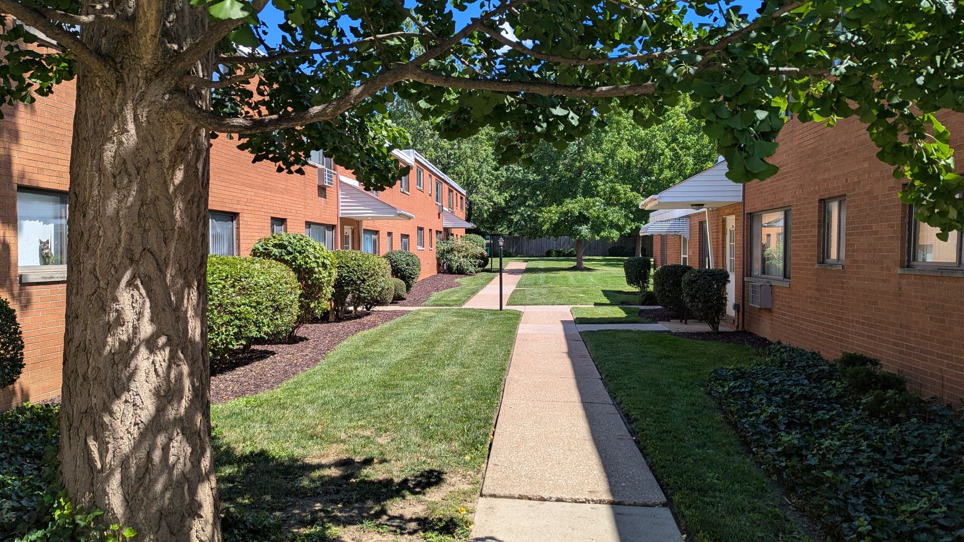 Cleveland Apartment: 4015 Rocky River Dr.