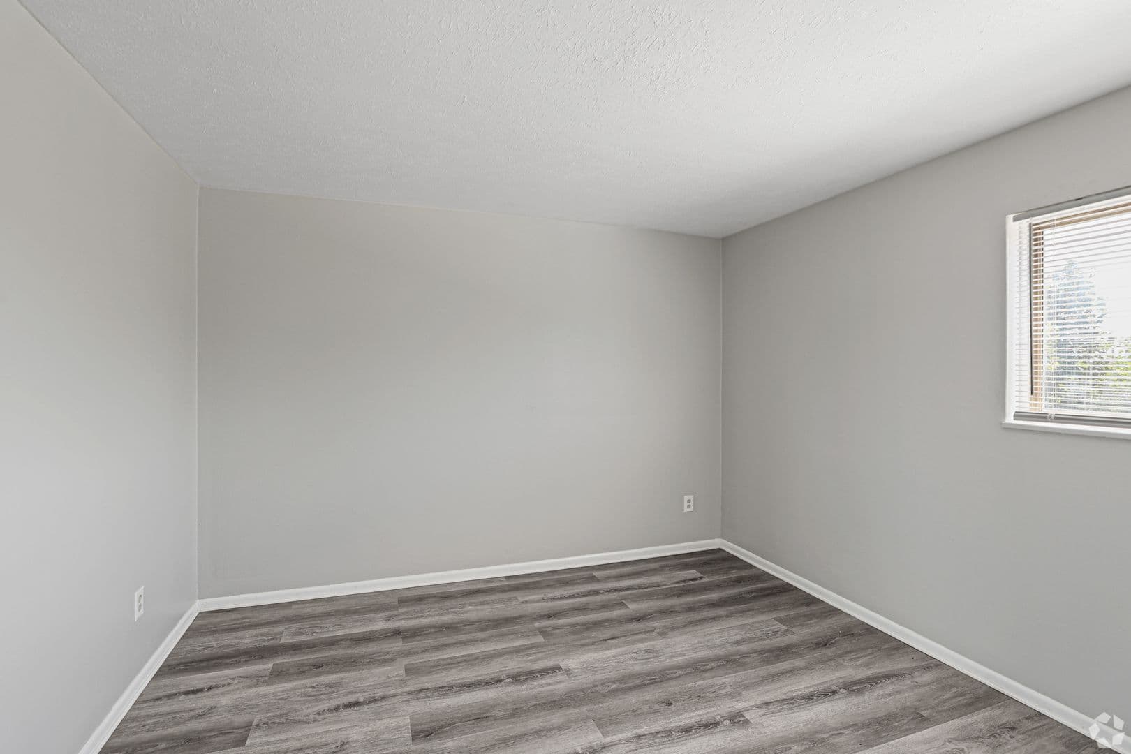 Brooklyn Apartment: 8257 Memphis Avenue