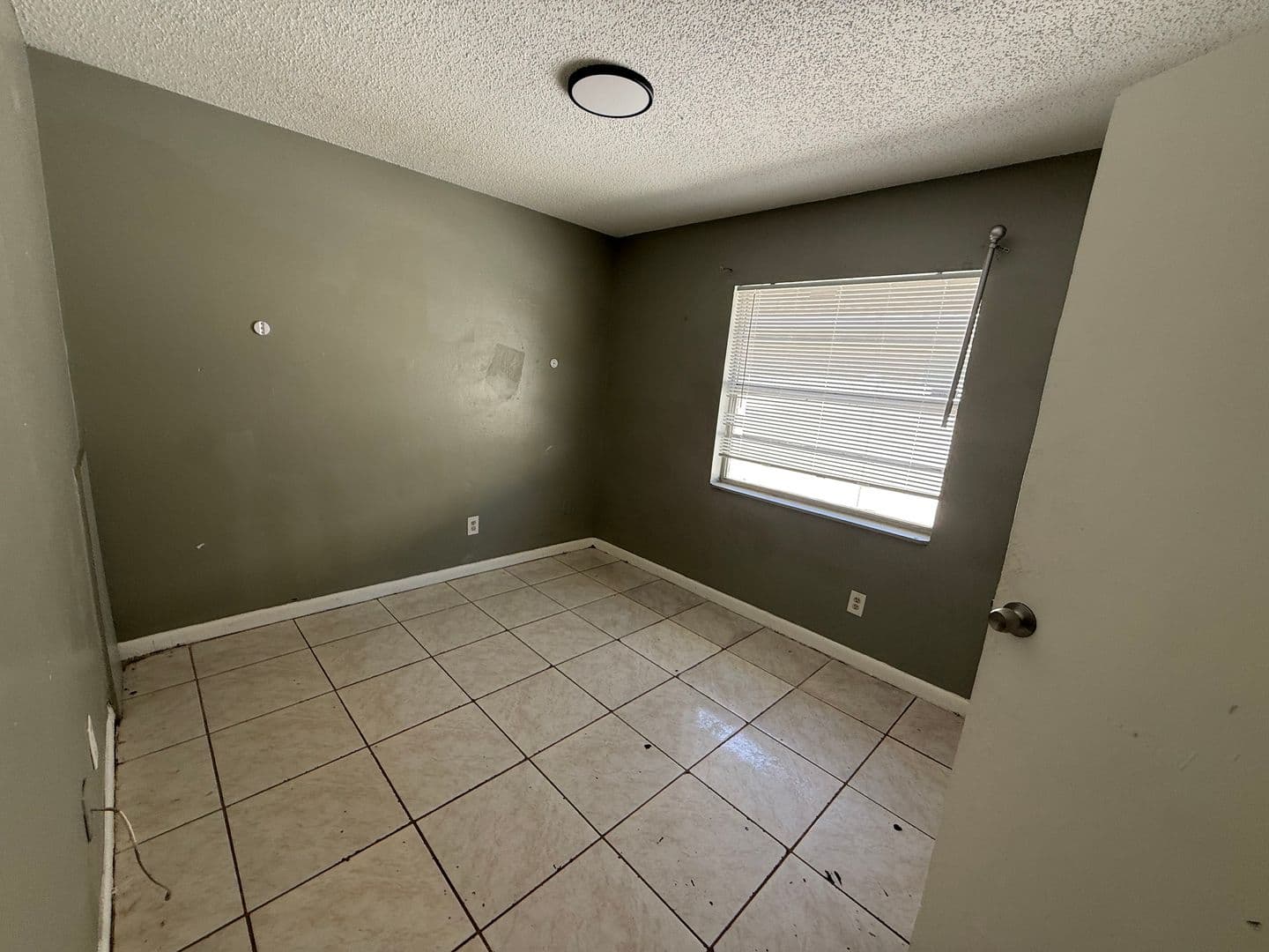 Tampa Apartment: 1726 E. Idell